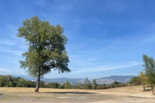 Piazzale Con Recinzione